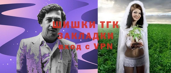 меф Арсеньев
