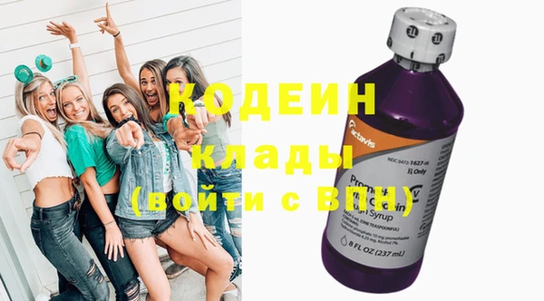 меф Арсеньев
