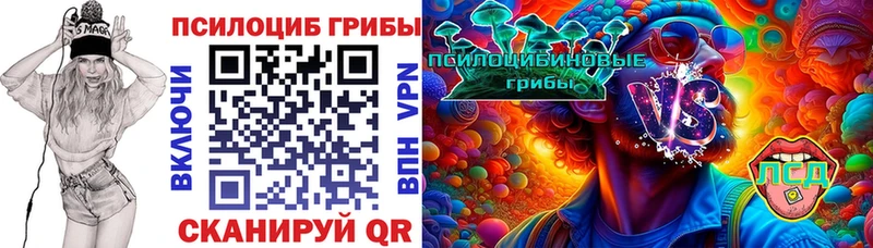 Купить закладки  Анива  Псилоцибиновые грибы ЛСД 